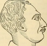 An illustration from Human science or phrenology. Its principles, proofs, faculties, organs, temperaments, combinations, conditions, teachings, philosophies, etc., etc. as applied to health. Its value, laws, functions, organs, means, preservation, restoration, etc. Mental philosophy, human and self improvement, civilization, home country, commerce rights, duties, ethics, etc. God, His existence, attributes, laws, worship, natural theology, etc. Immortality, its evidences, conditions, relations to time, rewards, punishments, sin, faith, prayer, etc. Intellect, memory, juvenile and self education, literature, mental discipline, the senses, sciences, arts, avocations, a perfect life, etc., etc (1880)