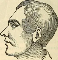 An illustration from Human science or phrenology. Its principles, proofs, faculties, organs, temperaments, combinations, conditions, teachings, philosophies, etc., etc. as applied to health. Its value, laws, functions, organs, means, preservation, restoration, etc. Mental philosophy, human and self improvement, civilization, home country, commerce rights, duties, ethics, etc. God, His existence, attributes, laws, worship, natural theology, etc. Immortality, its evidences, conditions, relations to time, rewards, punishments, sin, faith, prayer, etc. Intellect, memory, juvenile and self education, literature, mental discipline, the senses, sciences, arts, avocations, a perfect life, etc., etc (1880)