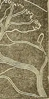An illustration from Human science or phrenology. Its principles, proofs, faculties, organs, temperaments, combinations, conditions, teachings, philosophies, etc., etc. as applied to health. Its value, laws, functions, organs, means, preservation, restoration, etc. Mental philosophy, human and self improvement, civilization, home country, commerce rights, duties, ethics, etc. God, His existence, attributes, laws, worship, natural theology, etc. Immortality, its evidences, conditions, relations to time, rewards, punishments, sin, faith, prayer, etc. Intellect, memory, juvenile and self education, literature, mental discipline, the senses, sciences, arts, avocations, a perfect life, etc., etc (1880)