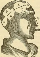 An illustration from Human science or phrenology. Its principles, proofs, faculties, organs, temperaments, combinations, conditions, teachings, philosophies, etc., etc. as applied to health. Its value, laws, functions, organs, means, preservation, restoration, etc. Mental philosophy, human and self improvement, civilization, home country, commerce rights, duties, ethics, etc. God, His existence, attributes, laws, worship, natural theology, etc. Immortality, its evidences, conditions, relations to time, rewards, punishments, sin, faith, prayer, etc. Intellect, memory, juvenile and self education, literature, mental discipline, the senses, sciences, arts, avocations, a perfect life, etc., etc (1880)