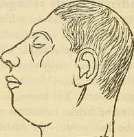 An illustration from Human science or phrenology. Its principles, proofs, faculties, organs, temperaments, combinations, conditions, teachings, philosophies, etc., etc. as applied to health. Its value, laws, functions, organs, means, preservation, restoration, etc. Mental philosophy, human and self improvement, civilization, home country, commerce rights, duties, ethics, etc. God, His existence, attributes, laws, worship, natural theology, etc. Immortality, its evidences, conditions, relations to time, rewards, punishments, sin, faith, prayer, etc. Intellect, memory, juvenile and self education, literature, mental discipline, the senses, sciences, arts, avocations, a perfect life, etc., etc (1880)