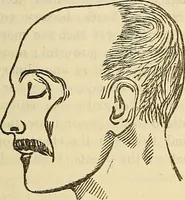 An illustration from Human science or phrenology. Its principles, proofs, faculties, organs, temperaments, combinations, conditions, teachings, philosophies, etc., etc. as applied to health. Its value, laws, functions, organs, means, preservation, restoration, etc. Mental philosophy, human and self improvement, civilization, home country, commerce rights, duties, ethics, etc. God, His existence, attributes, laws, worship, natural theology, etc. Immortality, its evidences, conditions, relations to time, rewards, punishments, sin, faith, prayer, etc. Intellect, memory, juvenile and self education, literature, mental discipline, the senses, sciences, arts, avocations, a perfect life, etc., etc (1880)