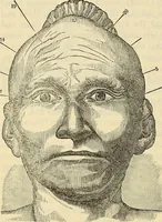 An illustration from Human science or phrenology. Its principles, proofs, faculties, organs, temperaments, combinations, conditions, teachings, philosophies, etc., etc. as applied to health. Its value, laws, functions, organs, means, preservation, restoration, etc. Mental philosophy, human and self improvement, civilization, home country, commerce rights, duties, ethics, etc. God, His existence, attributes, laws, worship, natural theology, etc. Immortality, its evidences, conditions, relations to time, rewards, punishments, sin, faith, prayer, etc. Intellect, memory, juvenile and self education, literature, mental discipline, the senses, sciences, arts, avocations, a perfect life, etc., etc (1880)