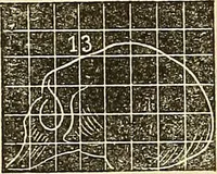 An illustration from Human science or phrenology. Its principles, proofs, faculties, organs, temperaments, combinations, conditions, teachings, philosophies, etc., etc. as applied to health. Its value, laws, functions, organs, means, preservation, restoration, etc. Mental philosophy, human and self improvement, civilization, home country, commerce rights, duties, ethics, etc. God, His existence, attributes, laws, worship, natural theology, etc. Immortality, its evidences, conditions, relations to time, rewards, punishments, sin, faith, prayer, etc. Intellect, memory, juvenile and self education, literature, mental discipline, the senses, sciences, arts, avocations, a perfect life, etc., etc (1880)