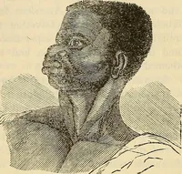 An illustration from Human science or phrenology. Its principles, proofs, faculties, organs, temperaments, combinations, conditions, teachings, philosophies, etc., etc. as applied to health. Its value, laws, functions, organs, means, preservation, restoration, etc. Mental philosophy, human and self improvement, civilization, home country, commerce rights, duties, ethics, etc. God, His existence, attributes, laws, worship, natural theology, etc. Immortality, its evidences, conditions, relations to time, rewards, punishments, sin, faith, prayer, etc. Intellect, memory, juvenile and self education, literature, mental discipline, the senses, sciences, arts, avocations, a perfect life, etc., etc (1880)