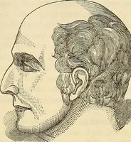 An illustration from Human science or phrenology. Its principles, proofs, faculties, organs, temperaments, combinations, conditions, teachings, philosophies, etc., etc. as applied to health. Its value, laws, functions, organs, means, preservation, restoration, etc. Mental philosophy, human and self improvement, civilization, home country, commerce rights, duties, ethics, etc. God, His existence, attributes, laws, worship, natural theology, etc. Immortality, its evidences, conditions, relations to time, rewards, punishments, sin, faith, prayer, etc. Intellect, memory, juvenile and self education, literature, mental discipline, the senses, sciences, arts, avocations, a perfect life, etc., etc (1880)