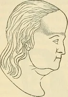 An illustration from Human science or phrenology. Its principles, proofs, faculties, organs, temperaments, combinations, conditions, teachings, philosophies, etc., etc. as applied to health. Its value, laws, functions, organs, means, preservation, restoration, etc. Mental philosophy, human and self improvement, civilization, home country, commerce rights, duties, ethics, etc. God, His existence, attributes, laws, worship, natural theology, etc. Immortality, its evidences, conditions, relations to time, rewards, punishments, sin, faith, prayer, etc. Intellect, memory, juvenile and self education, literature, mental discipline, the senses, sciences, arts, avocations, a perfect life, etc., etc (1880)