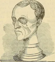 An illustration from Human science or phrenology. Its principles, proofs, faculties, organs, temperaments, combinations, conditions, teachings, philosophies, etc., etc. as applied to health. Its value, laws, functions, organs, means, preservation, restoration, etc. Mental philosophy, human and self improvement, civilization, home country, commerce rights, duties, ethics, etc. God, His existence, attributes, laws, worship, natural theology, etc. Immortality, its evidences, conditions, relations to time, rewards, punishments, sin, faith, prayer, etc. Intellect, memory, juvenile and self education, literature, mental discipline, the senses, sciences, arts, avocations, a perfect life, etc., etc (1880)