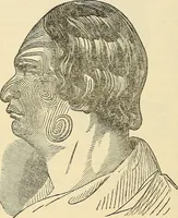 An illustration from Human science or phrenology. Its principles, proofs, faculties, organs, temperaments, combinations, conditions, teachings, philosophies, etc., etc. as applied to health. Its value, laws, functions, organs, means, preservation, restoration, etc. Mental philosophy, human and self improvement, civilization, home country, commerce rights, duties, ethics, etc. God, His existence, attributes, laws, worship, natural theology, etc. Immortality, its evidences, conditions, relations to time, rewards, punishments, sin, faith, prayer, etc. Intellect, memory, juvenile and self education, literature, mental discipline, the senses, sciences, arts, avocations, a perfect life, etc., etc (1880)