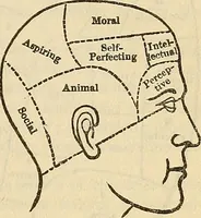 An illustration from Human science or phrenology. Its principles, proofs, faculties, organs, temperaments, combinations, conditions, teachings, philosophies, etc., etc. as applied to health. Its value, laws, functions, organs, means, preservation, restoration, etc. Mental philosophy, human and self improvement, civilization, home country, commerce rights, duties, ethics, etc. God, His existence, attributes, laws, worship, natural theology, etc. Immortality, its evidences, conditions, relations to time, rewards, punishments, sin, faith, prayer, etc. Intellect, memory, juvenile and self education, literature, mental discipline, the senses, sciences, arts, avocations, a perfect life, etc., etc (1880)