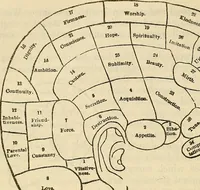 An illustration from Human science or phrenology. Its principles, proofs, faculties, organs, temperaments, combinations, conditions, teachings, philosophies, etc., etc. as applied to health. Its value, laws, functions, organs, means, preservation, restoration, etc. Mental philosophy, human and self improvement, civilization, home country, commerce rights, duties, ethics, etc. God, His existence, attributes, laws, worship, natural theology, etc. Immortality, its evidences, conditions, relations to time, rewards, punishments, sin, faith, prayer, etc. Intellect, memory, juvenile and self education, literature, mental discipline, the senses, sciences, arts, avocations, a perfect life, etc., etc (1880)