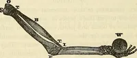 An illustration from Human science or phrenology. Its principles, proofs, faculties, organs, temperaments, combinations, conditions, teachings, philosophies, etc., etc. as applied to health. Its value, laws, functions, organs, means, preservation, restoration, etc. Mental philosophy, human and self improvement, civilization, home country, commerce rights, duties, ethics, etc. God, His existence, attributes, laws, worship, natural theology, etc. Immortality, its evidences, conditions, relations to time, rewards, punishments, sin, faith, prayer, etc. Intellect, memory, juvenile and self education, literature, mental discipline, the senses, sciences, arts, avocations, a perfect life, etc., etc (1880)