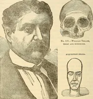 An illustration from Human science or phrenology. Its principles, proofs, faculties, organs, temperaments, combinations, conditions, teachings, philosophies, etc., etc. as applied to health. Its value, laws, functions, organs, means, preservation, restoration, etc. Mental philosophy, human and self improvement, civilization, home country, commerce rights, duties, ethics, etc. God, His existence, attributes, laws, worship, natural theology, etc. Immortality, its evidences, conditions, relations to time, rewards, punishments, sin, faith, prayer, etc. Intellect, memory, juvenile and self education, literature, mental discipline, the senses, sciences, arts, avocations, a perfect life, etc., etc (1880)