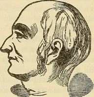 An illustration from Human science or phrenology. Its principles, proofs, faculties, organs, temperaments, combinations, conditions, teachings, philosophies, etc., etc. as applied to health. Its value, laws, functions, organs, means, preservation, restoration, etc. Mental philosophy, human and self improvement, civilization, home country, commerce rights, duties, ethics, etc. God, His existence, attributes, laws, worship, natural theology, etc. Immortality, its evidences, conditions, relations to time, rewards, punishments, sin, faith, prayer, etc. Intellect, memory, juvenile and self education, literature, mental discipline, the senses, sciences, arts, avocations, a perfect life, etc., etc (1880)