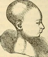 An illustration from Human science or phrenology. Its principles, proofs, faculties, organs, temperaments, combinations, conditions, teachings, philosophies, etc., etc. as applied to health. Its value, laws, functions, organs, means, preservation, restoration, etc. Mental philosophy, human and self improvement, civilization, home country, commerce rights, duties, ethics, etc. God, His existence, attributes, laws, worship, natural theology, etc. Immortality, its evidences, conditions, relations to time, rewards, punishments, sin, faith, prayer, etc. Intellect, memory, juvenile and self education, literature, mental discipline, the senses, sciences, arts, avocations, a perfect life, etc., etc (1880)
