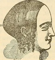An illustration from Human science or phrenology. Its principles, proofs, faculties, organs, temperaments, combinations, conditions, teachings, philosophies, etc., etc. as applied to health. Its value, laws, functions, organs, means, preservation, restoration, etc. Mental philosophy, human and self improvement, civilization, home country, commerce rights, duties, ethics, etc. God, His existence, attributes, laws, worship, natural theology, etc. Immortality, its evidences, conditions, relations to time, rewards, punishments, sin, faith, prayer, etc. Intellect, memory, juvenile and self education, literature, mental discipline, the senses, sciences, arts, avocations, a perfect life, etc., etc (1880)