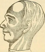 An illustration from Human science or phrenology. Its principles, proofs, faculties, organs, temperaments, combinations, conditions, teachings, philosophies, etc., etc. as applied to health. Its value, laws, functions, organs, means, preservation, restoration, etc. Mental philosophy, human and self improvement, civilization, home country, commerce rights, duties, ethics, etc. God, His existence, attributes, laws, worship, natural theology, etc. Immortality, its evidences, conditions, relations to time, rewards, punishments, sin, faith, prayer, etc. Intellect, memory, juvenile and self education, literature, mental discipline, the senses, sciences, arts, avocations, a perfect life, etc., etc (1880)
