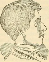 An illustration from Human science or phrenology. Its principles, proofs, faculties, organs, temperaments, combinations, conditions, teachings, philosophies, etc., etc. as applied to health. Its value, laws, functions, organs, means, preservation, restoration, etc. Mental philosophy, human and self improvement, civilization, home country, commerce rights, duties, ethics, etc. God, His existence, attributes, laws, worship, natural theology, etc. Immortality, its evidences, conditions, relations to time, rewards, punishments, sin, faith, prayer, etc. Intellect, memory, juvenile and self education, literature, mental discipline, the senses, sciences, arts, avocations, a perfect life, etc., etc (1880)