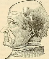 An illustration from Human science or phrenology. Its principles, proofs, faculties, organs, temperaments, combinations, conditions, teachings, philosophies, etc., etc. as applied to health. Its value, laws, functions, organs, means, preservation, restoration, etc. Mental philosophy, human and self improvement, civilization, home country, commerce rights, duties, ethics, etc. God, His existence, attributes, laws, worship, natural theology, etc. Immortality, its evidences, conditions, relations to time, rewards, punishments, sin, faith, prayer, etc. Intellect, memory, juvenile and self education, literature, mental discipline, the senses, sciences, arts, avocations, a perfect life, etc., etc (1880)