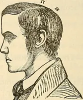 An illustration from Human science or phrenology. Its principles, proofs, faculties, organs, temperaments, combinations, conditions, teachings, philosophies, etc., etc. as applied to health. Its value, laws, functions, organs, means, preservation, restoration, etc. Mental philosophy, human and self improvement, civilization, home country, commerce rights, duties, ethics, etc. God, His existence, attributes, laws, worship, natural theology, etc. Immortality, its evidences, conditions, relations to time, rewards, punishments, sin, faith, prayer, etc. Intellect, memory, juvenile and self education, literature, mental discipline, the senses, sciences, arts, avocations, a perfect life, etc., etc (1880)