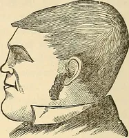 An illustration from Human science or phrenology. Its principles, proofs, faculties, organs, temperaments, combinations, conditions, teachings, philosophies, etc., etc. as applied to health. Its value, laws, functions, organs, means, preservation, restoration, etc. Mental philosophy, human and self improvement, civilization, home country, commerce rights, duties, ethics, etc. God, His existence, attributes, laws, worship, natural theology, etc. Immortality, its evidences, conditions, relations to time, rewards, punishments, sin, faith, prayer, etc. Intellect, memory, juvenile and self education, literature, mental discipline, the senses, sciences, arts, avocations, a perfect life, etc., etc (1880)