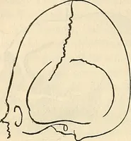 An illustration from Human science or phrenology. Its principles, proofs, faculties, organs, temperaments, combinations, conditions, teachings, philosophies, etc., etc. as applied to health. Its value, laws, functions, organs, means, preservation, restoration, etc. Mental philosophy, human and self improvement, civilization, home country, commerce rights, duties, ethics, etc. God, His existence, attributes, laws, worship, natural theology, etc. Immortality, its evidences, conditions, relations to time, rewards, punishments, sin, faith, prayer, etc. Intellect, memory, juvenile and self education, literature, mental discipline, the senses, sciences, arts, avocations, a perfect life, etc., etc (1880)