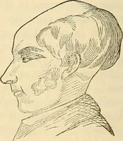 An illustration from Human science or phrenology. Its principles, proofs, faculties, organs, temperaments, combinations, conditions, teachings, philosophies, etc., etc. as applied to health. Its value, laws, functions, organs, means, preservation, restoration, etc. Mental philosophy, human and self improvement, civilization, home country, commerce rights, duties, ethics, etc. God, His existence, attributes, laws, worship, natural theology, etc. Immortality, its evidences, conditions, relations to time, rewards, punishments, sin, faith, prayer, etc. Intellect, memory, juvenile and self education, literature, mental discipline, the senses, sciences, arts, avocations, a perfect life, etc., etc (1880)