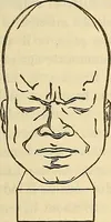 An illustration from Human science or phrenology. Its principles, proofs, faculties, organs, temperaments, combinations, conditions, teachings, philosophies, etc., etc. as applied to health. Its value, laws, functions, organs, means, preservation, restoration, etc. Mental philosophy, human and self improvement, civilization, home country, commerce rights, duties, ethics, etc. God, His existence, attributes, laws, worship, natural theology, etc. Immortality, its evidences, conditions, relations to time, rewards, punishments, sin, faith, prayer, etc. Intellect, memory, juvenile and self education, literature, mental discipline, the senses, sciences, arts, avocations, a perfect life, etc., etc (1880)