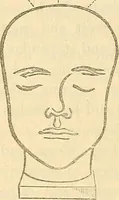 An illustration from Human science or phrenology. Its principles, proofs, faculties, organs, temperaments, combinations, conditions, teachings, philosophies, etc., etc. as applied to health. Its value, laws, functions, organs, means, preservation, restoration, etc. Mental philosophy, human and self improvement, civilization, home country, commerce rights, duties, ethics, etc. God, His existence, attributes, laws, worship, natural theology, etc. Immortality, its evidences, conditions, relations to time, rewards, punishments, sin, faith, prayer, etc. Intellect, memory, juvenile and self education, literature, mental discipline, the senses, sciences, arts, avocations, a perfect life, etc., etc (1880)