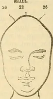 An illustration from Human science or phrenology. Its principles, proofs, faculties, organs, temperaments, combinations, conditions, teachings, philosophies, etc., etc. as applied to health. Its value, laws, functions, organs, means, preservation, restoration, etc. Mental philosophy, human and self improvement, civilization, home country, commerce rights, duties, ethics, etc. God, His existence, attributes, laws, worship, natural theology, etc. Immortality, its evidences, conditions, relations to time, rewards, punishments, sin, faith, prayer, etc. Intellect, memory, juvenile and self education, literature, mental discipline, the senses, sciences, arts, avocations, a perfect life, etc., etc (1880)
