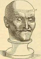 An illustration from Human science or phrenology. Its principles, proofs, faculties, organs, temperaments, combinations, conditions, teachings, philosophies, etc., etc. as applied to health. Its value, laws, functions, organs, means, preservation, restoration, etc. Mental philosophy, human and self improvement, civilization, home country, commerce rights, duties, ethics, etc. God, His existence, attributes, laws, worship, natural theology, etc. Immortality, its evidences, conditions, relations to time, rewards, punishments, sin, faith, prayer, etc. Intellect, memory, juvenile and self education, literature, mental discipline, the senses, sciences, arts, avocations, a perfect life, etc., etc (1880)