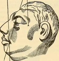 An illustration from Human science or phrenology. Its principles, proofs, faculties, organs, temperaments, combinations, conditions, teachings, philosophies, etc., etc. as applied to health. Its value, laws, functions, organs, means, preservation, restoration, etc. Mental philosophy, human and self improvement, civilization, home country, commerce rights, duties, ethics, etc. God, His existence, attributes, laws, worship, natural theology, etc. Immortality, its evidences, conditions, relations to time, rewards, punishments, sin, faith, prayer, etc. Intellect, memory, juvenile and self education, literature, mental discipline, the senses, sciences, arts, avocations, a perfect life, etc., etc (1880)