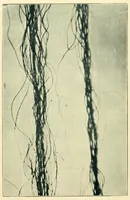 An illustration from Humidity in cotton spinning : a paper (1894)