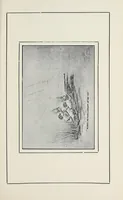 An illustration from Humorous sketches of the campaign in G.E.A. (1914)