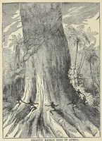 Picture 13 of 18 from Hunting big game in the wilds of Africa : containing thrilling adventures of the famous Roosevelt expedition ... the whole comprising a vast treasury of all that is marvelous and wonderful in darkest Africa (1909), leaf 270