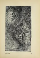 An illustration from Hunting big game in the wilds of Africa : containing thrilling adventures of the famous Roosevelt expedition ... the whole comprising a vast treasury of all that is marvelous and wonderful in darkest Africa (1909)