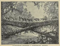 Picture 18 of 18 from Hunting big game in the wilds of Africa : containing thrilling adventures of the famous Roosevelt expedition ... the whole comprising a vast treasury of all that is marvelous and wonderful in darkest Africa (1909), leaf 399