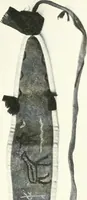 An illustration from Hunting charms of the Montagnais and the Mistassini (1921)