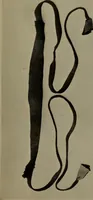 An illustration from Hunting charms of the Montagnais and the Mistassini (1921)