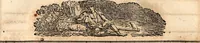An illustration from Hunt's North American almanac for the year of our Lord and Saviour Jesus Christ 1847 (1846)