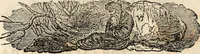 An illustration from Hunt's North American almanac for the year of our Lord and Saviour Jesus Christ 1847 (1846)