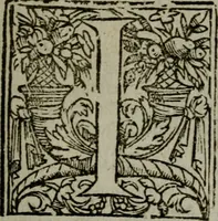 An illustration from A hvndred sermons vppon the Apocalipse of Iesu Christ, reueiled by the angell of the Lord, but seeene or receiuec and written by the holy apostle and euagelist S. Iohn (1573)