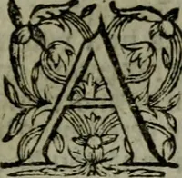 An illustration from A hvndred sermons vppon the Apocalipse of Iesu Christ, reueiled by the angell of the Lord, but seeene or receiuec and written by the holy apostle and euagelist S. Iohn (1573)