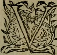An illustration from A hvndred sermons vppon the Apocalipse of Iesu Christ, reueiled by the angell of the Lord, but seeene or receiuec and written by the holy apostle and euagelist S. Iohn (1573)