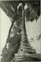 An illustration from Hydraulic engineering; a practical treatise on the principles of water pressure and flow and their application to the development of water power, including the calculation, design and construction of water wheels, turbines, and other details of hydraulic power plants (1909)