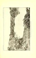 Picture 6 of 15 from Hydrography of the American Isthmus (1903), leaf 77