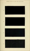 Picture 21 of 25 from Hydron blue G and R, patented paste 20% and powder (1911), leaf 46