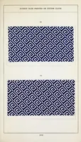 Picture 14 of 16 from Hydron blue G and R : patented : paste 20% and powder (1911), leaf 61