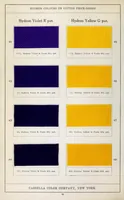 Picture 8 of 11 from Hydron colours on cotton piece-goods (1900), leaf 28