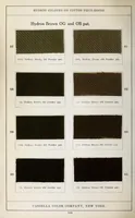 Picture 9 of 11 from Hydron colours on cotton piece-goods (1900), leaf 30